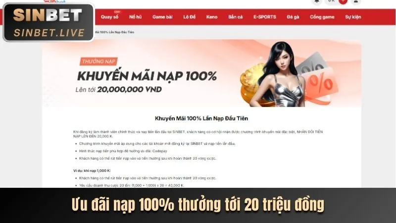 Hoàn Trả Thể Thao Và Casino 42win
